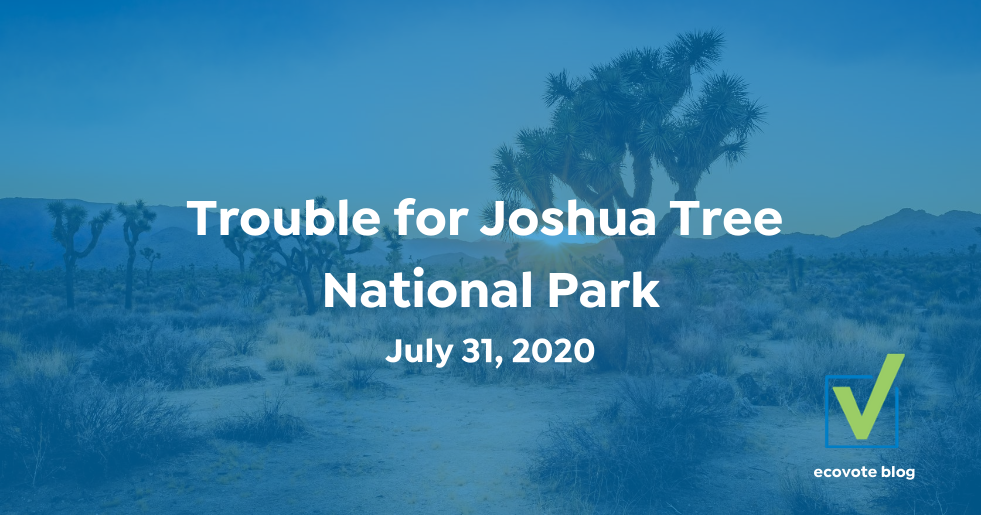 Trouble for Joshua Tree National Park