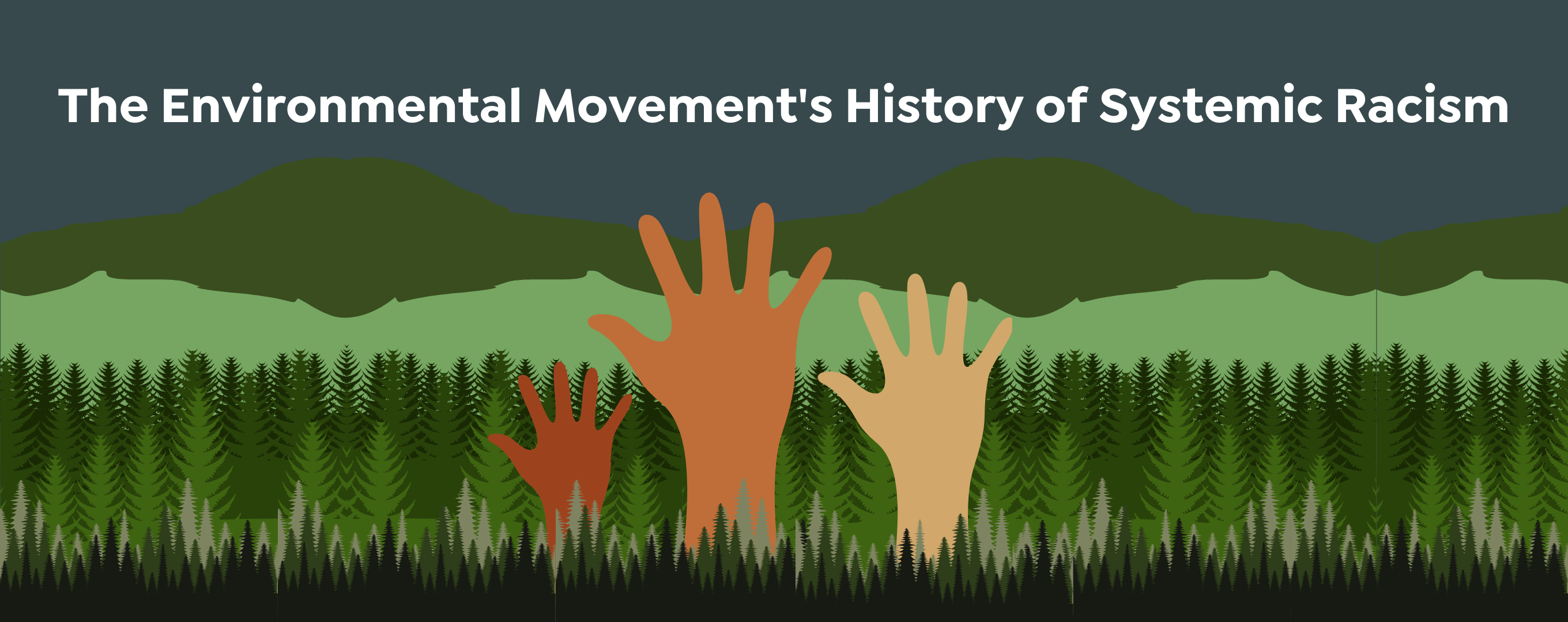 Owning Our Movement’s History